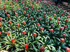 -南山植物园