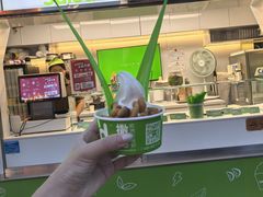 -Salud撒露欧洲冻酸奶(蓝色港湾店)