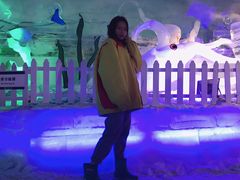 -世界之窗阿尔卑斯冰雪世界