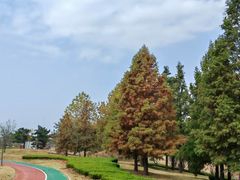 -羊亭河湿地公园