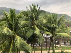 -石梅湾艾美度假酒店