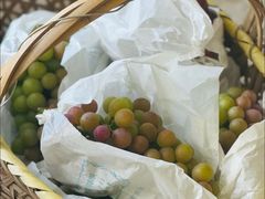 -马陆小张葡萄园农家乐