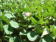 -南戴河国际娱乐中心