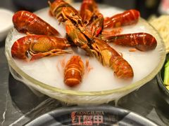 -红盔甲·小龙虾(人民广场店)
