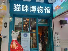 -猫咪博物馆(顶澳仔猫街店)
