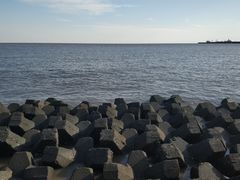 -芦潮港集贸市场