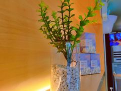 -都可手作(学士街手作店)