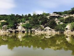 -北京西山国家森林公园