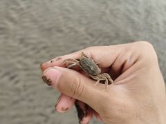 -南汇新城海滩