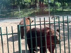 -秦皇岛野生动物园