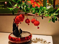 -奔跑吧陕菜·盛世长安(民乐园万达店)