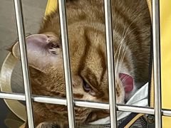 -美联众合动物医院·24h京西诊疗中心