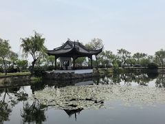 -无锡蠡湖国家湿地公园-蠡园