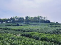 -南北湖风景区
