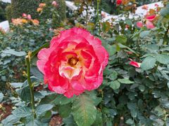 -人民公园(罗湖区)