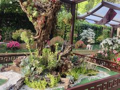 -惠山古镇·寄畅园