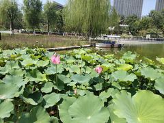 -西海子公园