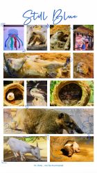 -Zoolung Zoolung动物主题公园(海信广场店)