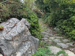 -桃花岛景观公园