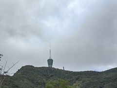 -梧桐山风景名胜区