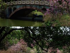 -华南国家植物园-售票处