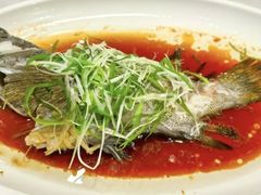 -大东海海鲜酒楼(渔人码头总店)