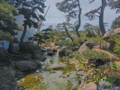 -罗红摄影艺术馆