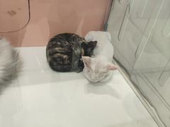 -丽达购物中心(崂山店)