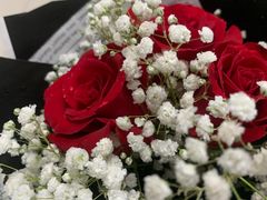 -循礼门鲜花花市(武汉循礼门店)