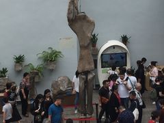 -自贡恐龙博物馆