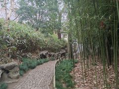 -秋霞圃
