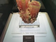 -安徽省地质博物馆