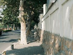 -八大关景区