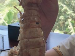 -石螺口海滩