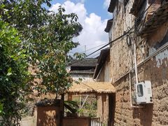 -杨家堂村