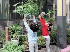 -七天萌宝·玛利娅蒙特梭利国际儿童之家(夏驾汇校区)