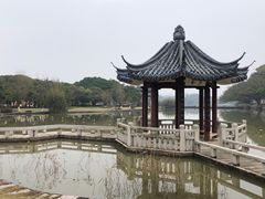 -江心屿景区