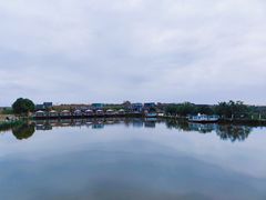 -空港花田景区