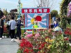 -荷兰花海