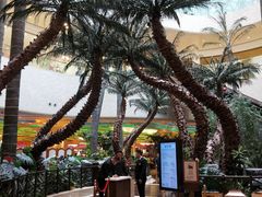 -澳门喜来登大酒店