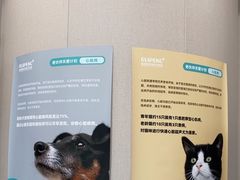 -瑞鹏宠物医院·骨科·猫科·内科(第一中心)