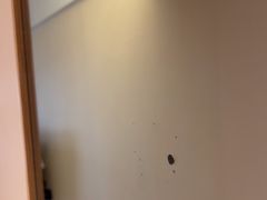 -全季酒店(石家庄裕华东路万达广场店)