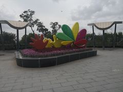 -金鸡山公园