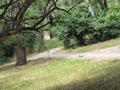 -北陵公园