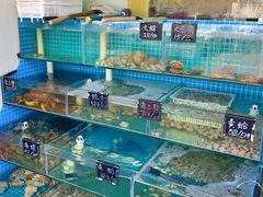 -北戴河庆山饭店·海鲜砂锅粥(北戴河黑石路店)