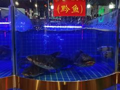 -蛙一刀·麻椒鱼火锅(金仙桥店)