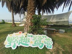 -大湾区中央湿地公园