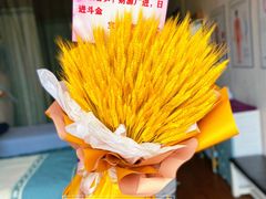 -田园花舍花店(北城未来实体店)