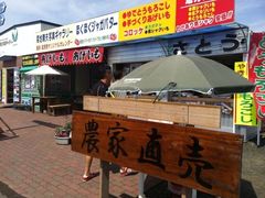 -富田农场