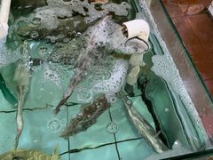 -寻味顺德·南记酒家·传统顺德菜·鱼生(广源路店)